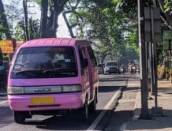 Nasib dan Kegelisahan Sopir Angkot Kota Batu yang Rutenya Dilewati Bus Trans Jatim Malang Raya