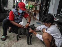 DistanKP Kota Batu Gelar Vaksinasi Rabies Gratis