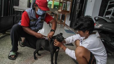 DistanKP Kota Batu Gelar Vaksinasi Rabies Gratis