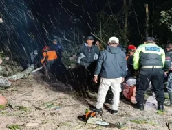 Pohon di Jurang Susuh Kota Batu Tumbang, Lalu Lintas Lumpuh Total