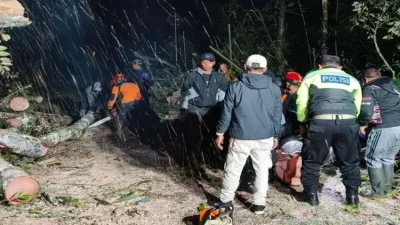 Pohon di Jurang Susuh Kota Batu Tumbang, Lalu Lintas Lumpuh Total